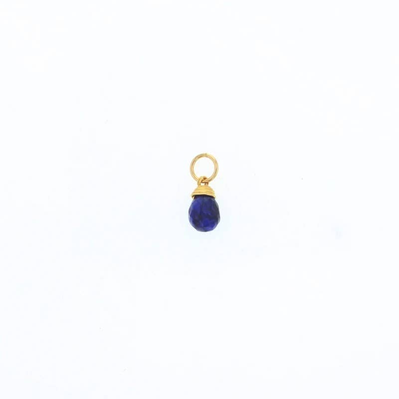 Natural Birthstones Charm: 14K Gold Filled / July