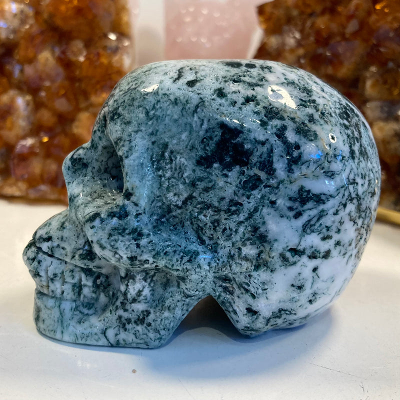 Tree Agate Skull