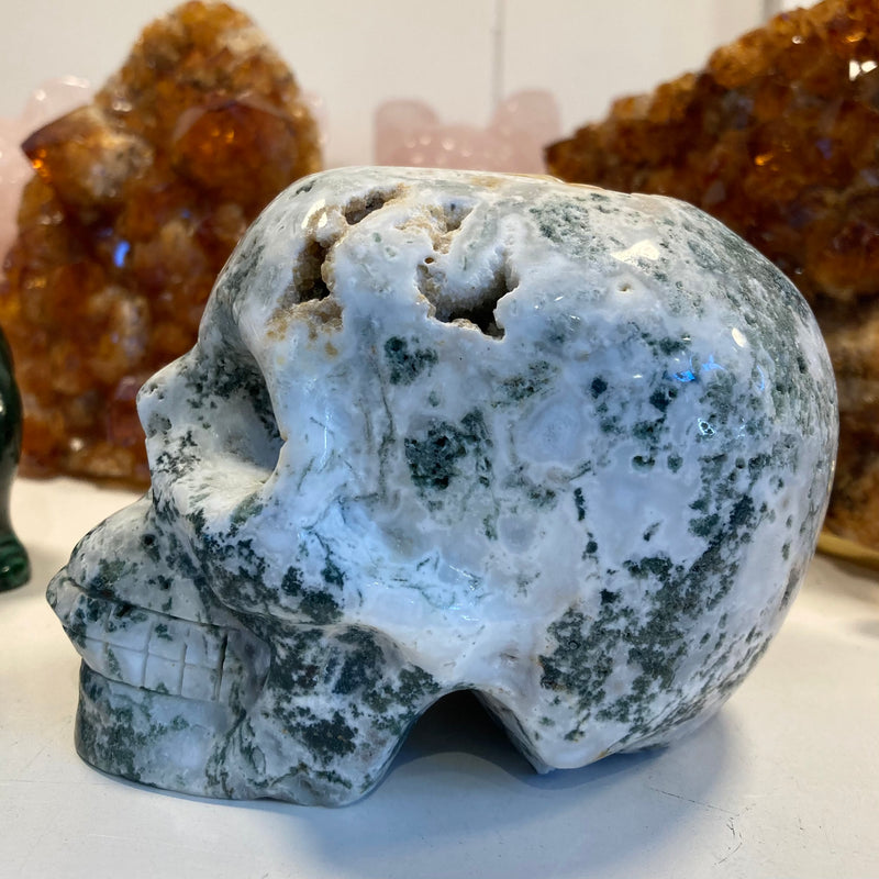 Tree Agate Skull