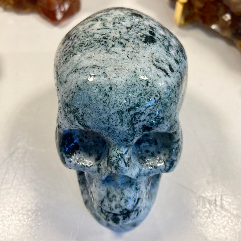 Tree Agate Skull