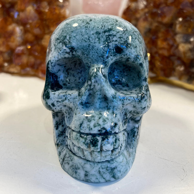 Tree Agate Skull