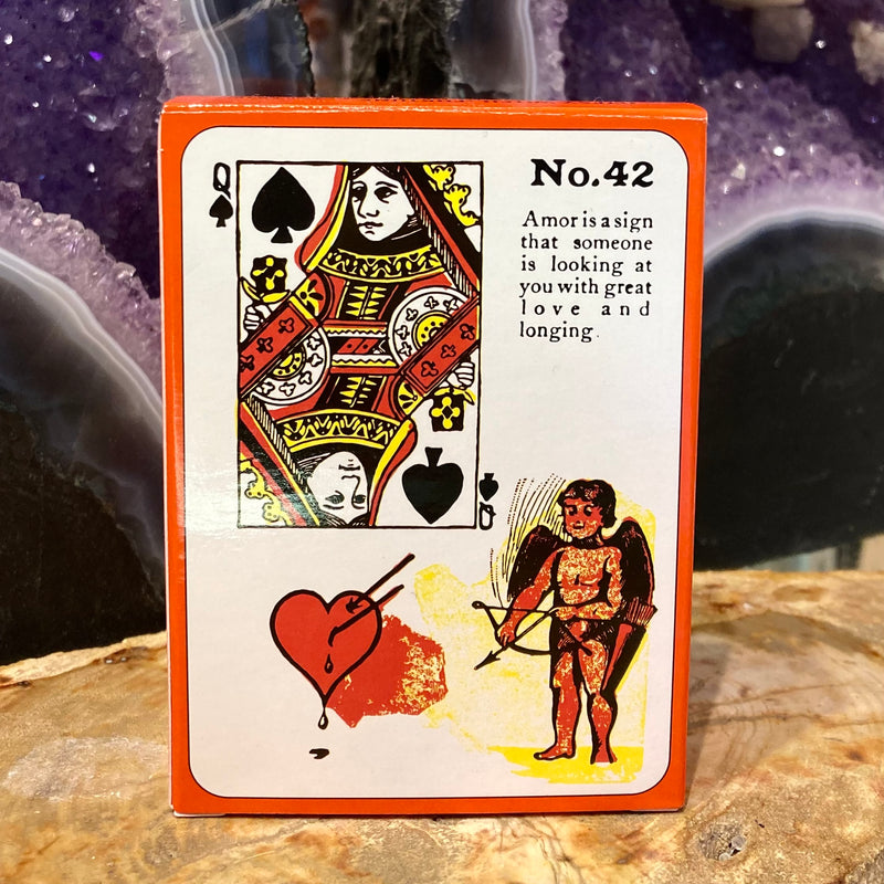 Gypsy Witch Fortune Telling Playing Cards