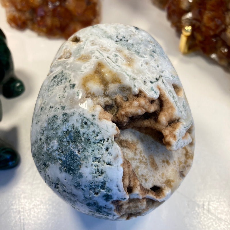 Tree Agate Skull