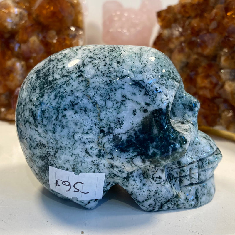 Tree Agate Skull