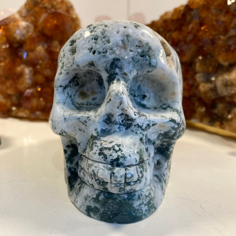 Tree Agate Skull