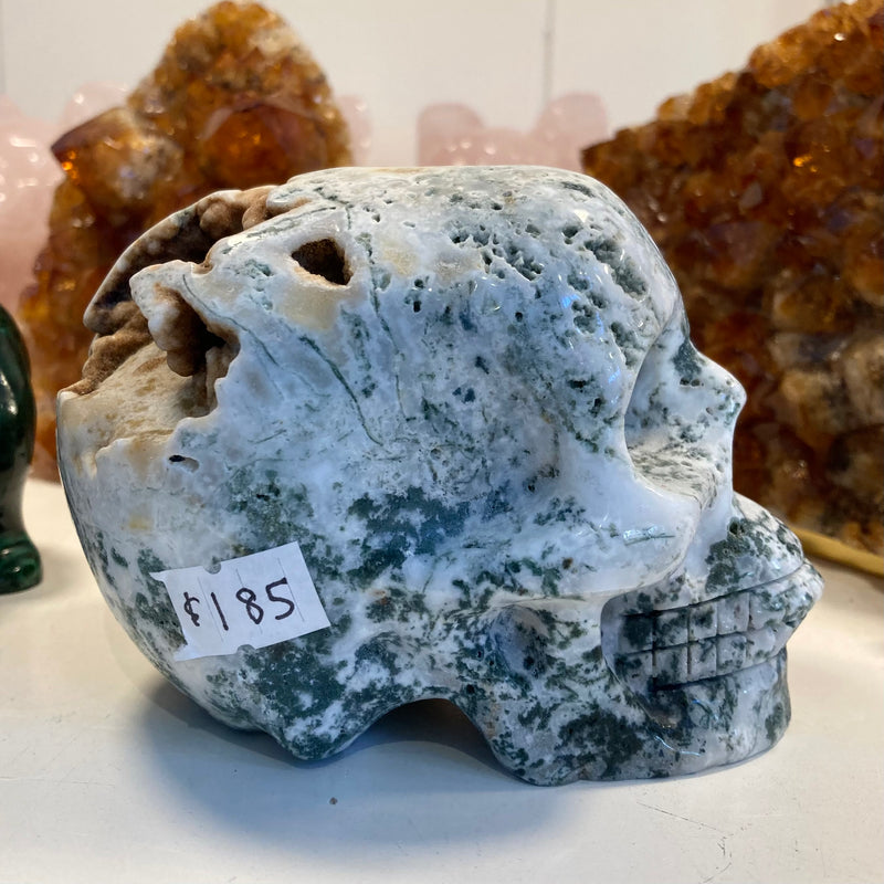 Tree Agate Skull